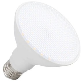 Lampada LED PAR30 12W 110° Colore Bianco Freddo 6.000K