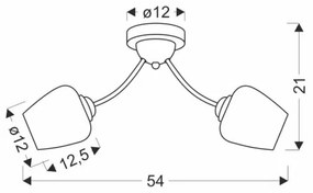 Lampadario a plafone ZINA 2xE27/40W/230V ottone/bianco
