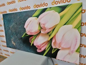 Stampa su tela – Tulipani rosa pastello