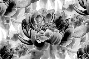 Carta da parati – Peonie in bianco e nero