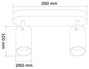 Faretto SMOKY 2xGU10/10W/230V nero