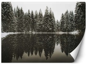 Carta Da Parati, Lago nella foresta in inverno