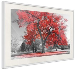 Poster  Red Tree  Cornice Quadri Cornice nera con pass-partout, Larghezza x Altezza Home decor 90x60