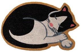 Zerbino in fibre di cocco 40x60 cm Cat – Casa Selección