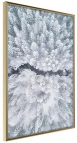 Poster  Winter Forest From a Bird's Eye View  Cornice Quadri Cornice d'oro, Larghezza x Altezza Home decor 20x30