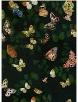 Coordonne Carta da parati Magic butterflies - Night