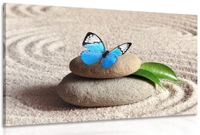 Stampa su tela – Farfalla blu nel giardino Zen