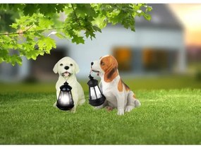 Globo 33371 - Lampada solare SOLAR 1xLED/0,06W/3V IP44