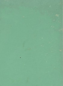 Terrastone Rustique floor - 15kg - 88 - Smaragdgrün - 15 kg