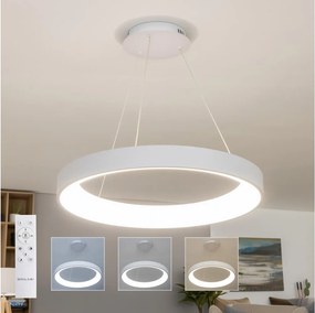 BRILAGI - Lampadario LED dimmerabile su cavo FALCON II LED/99W/230V Ø 60 cm bianco + telecomando