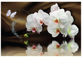 Carta da parati – Orchidea e farfalla