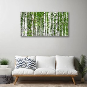 Quadro su tela Natura degli alberi della foresta di betulle 100x50 cm