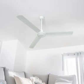 Globo 03806 - Ventilatore a soffitto FERRO