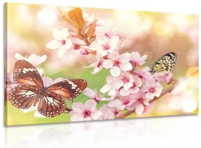 Quadro su tela – Fiori primaverili con farfalle esotiche