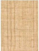 Élitis Carta da parati Abaca - VP 983 06