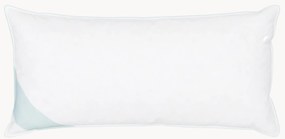 Cuscino in piuma Comfort, rigido