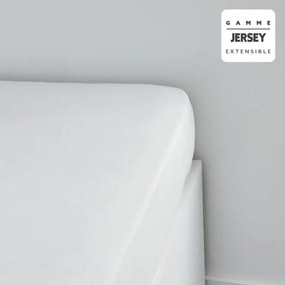 Lenzuolo con angoli aderenti TODAY Essential Bianco 90 x 190 cm