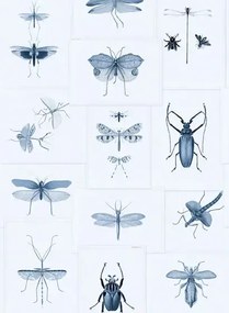 Mindthegap Carta da parati Entomology - WP20235