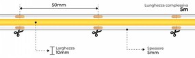 Striscia LED COB - IP65 - 12W/m - 5m - CRI90 - 24V Colore Bianco Freddo 5.700K
