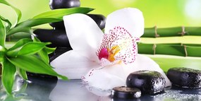 Stampa su tela – Orchidea con tema giapponese