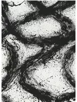 Harlequin Wandbild Enigmatic - Black Earth/ First Light