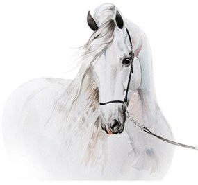 Bellissimo adesivo da parete con cavallo bianco 115 x 127 cm