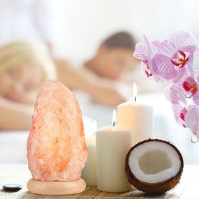 Lampada al sale SALLY 1xE14/25W/230V