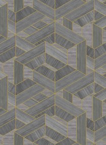 Coordonne Carta da parati Hexagon - Steel