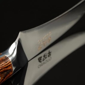 Gudaro - Coltello da cucina per frutta in acciaio damascato FENG 3,5", 67 strati d'acciaio, lunghezza 9,5 cm