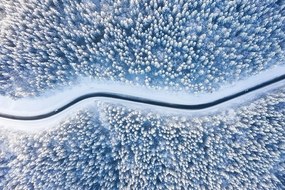 Carta da parati autoadesiva – Vista sul paesaggio invernale
