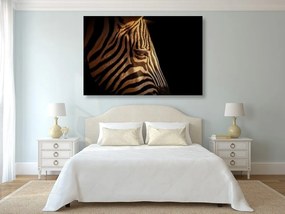 Stampa su tela – Ritratto di zebra