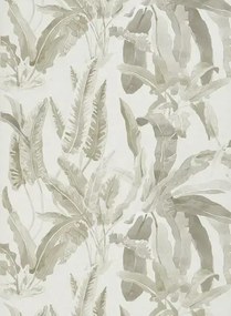 Tapete Benmore von Nina Campbell - Grey/ Ivory