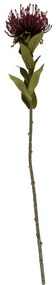 Fiore artificiale (altezza 60 cm) Protea - PT LIVING