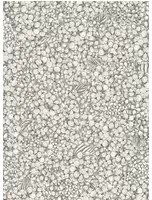 Cole & Son Carta da parati Ortensia - Black/ White
