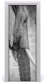 Sticker porta Elefante 75x205 cm