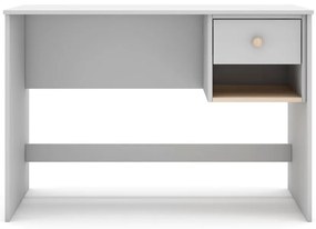 Scrivania per bambini 55x110 cm Esteban – Marckeric