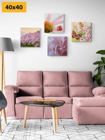 Set di quadri – Fioritura della natura