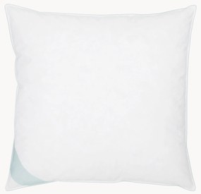 Cuscino in piuma Comfort, rigido
