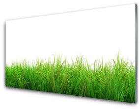 Pannello retrocucina Erba, piante, natura 100x50 cm