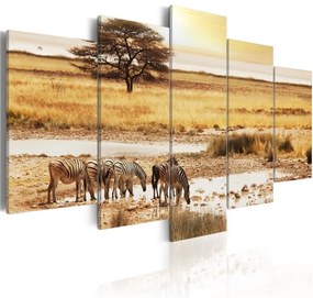 Quadro Zebre nella savana  Colore Marrone, Dimensioni e Misure 100x50