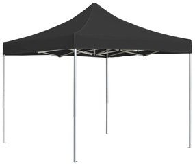 Gazebo Professionale Pieghevole Alluminio 2x2 M Antracite /