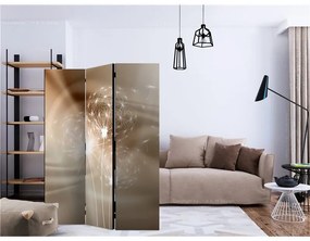 Paravento  Solar Illusion [Room Dividers]  Colore ---, Dimensioni e Misure 135x172