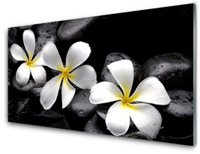 Quadro acrilico Fiore della Pianta Plumeria 100x50 cm