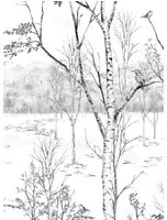 Isidore Leroy Carta da parati panoramica Nunavut Grisaille - Panel B