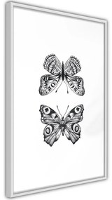 Poster Butterfly Collection I