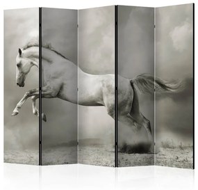 Paravento  Wild Stallion II [Room Dividers]  Colore ---, Dimensioni e Misure 225x172