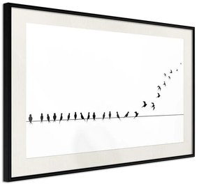 Poster  Birds on a Wire  Cornice Quadri Cornice nera con pass-partout, Larghezza x Altezza Home decor 60x40