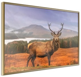 Poster  Majestic Deer  Cornice Quadri Cornice d'oro, Larghezza x Altezza Home decor 30x20