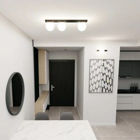 Plafoniera FIT 3xE14/10W/230V nero/bianco