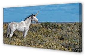 Quadro su tela Campo unicorno 100x50 cm